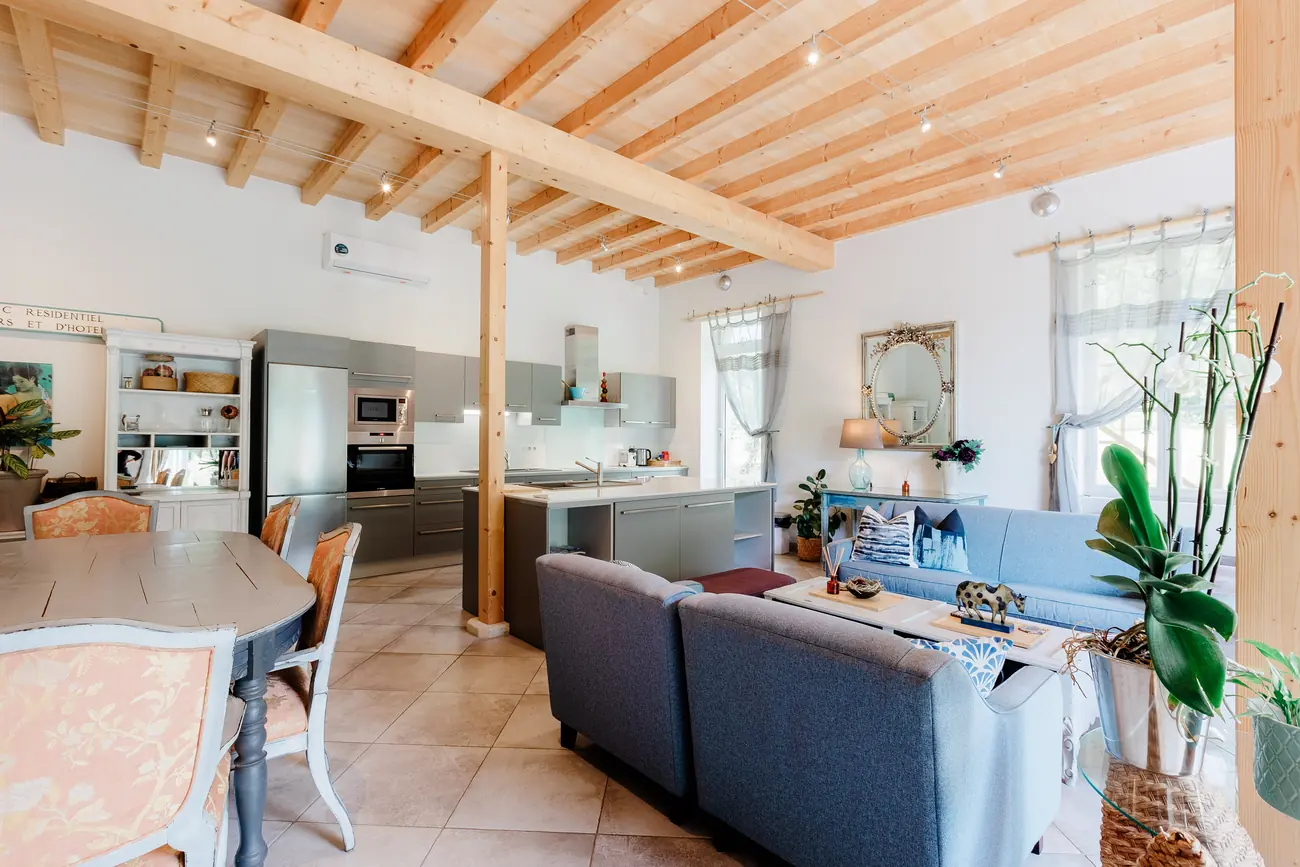 The apartment, the living rooms (2)