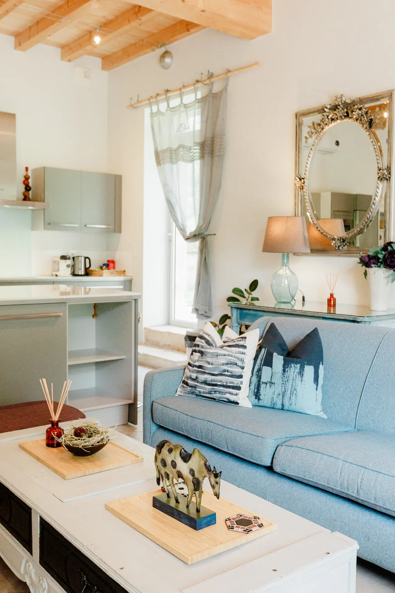 The apartment, the living rooms (5)
