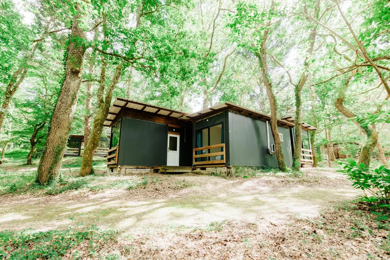 A bungalow, a woodland bungalow