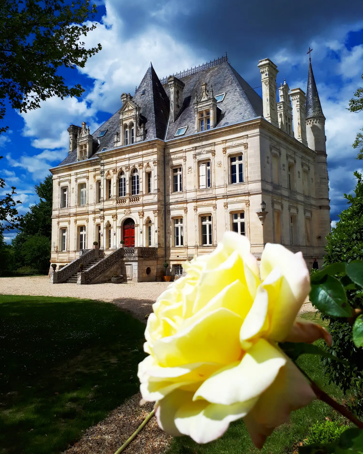 A yellow rose in front of the façade